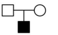 Which one of the following symbols represents mating between relatives in human pedigree analysis?